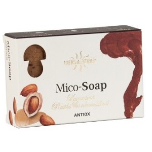 Sapone al reishi antiox 150 g
