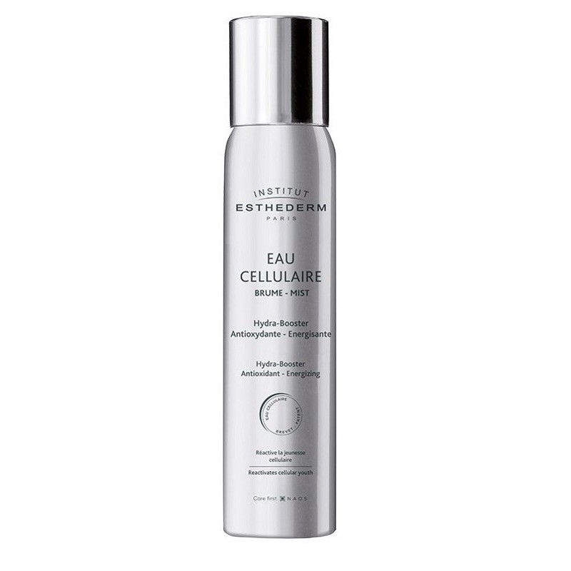 Insti eau cellulaire brume 100 ml