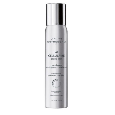 Insti eau cellulaire brume 100 ml