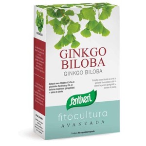 Ginkgo biloba 40 capsule