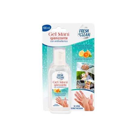 Fresh&clean gel mani igienizzante 100 ml