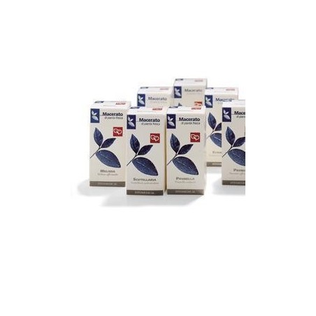 Echinacea tintura madre 50 ml