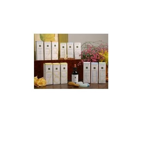 Zef11 calma plant stv