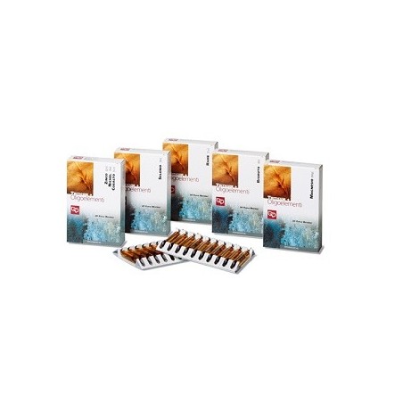 Triticum+cu+au+ag 20 fiale 2 ml