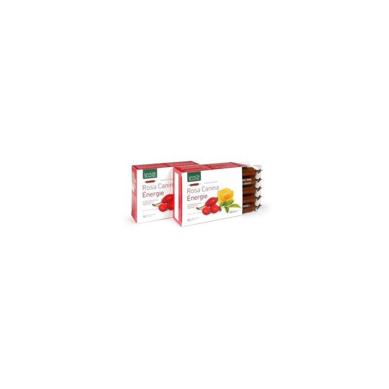 Rosa canina energie biologico 10 ampolle bevibili da 10 ml