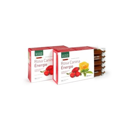 Rosa canina energie biologico 10 ampolle bevibili da 10 ml