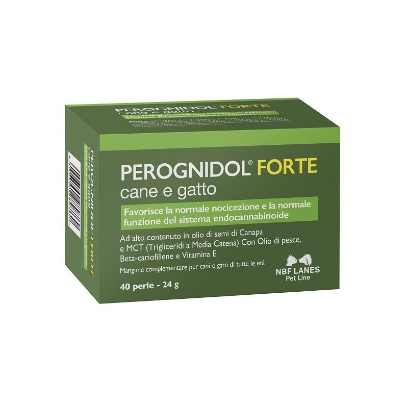 Perognidol forte perle Perognidol forte perle