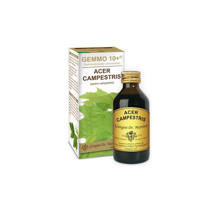 Gemmo 10+ acero campestre 100 ml liquido analcolico