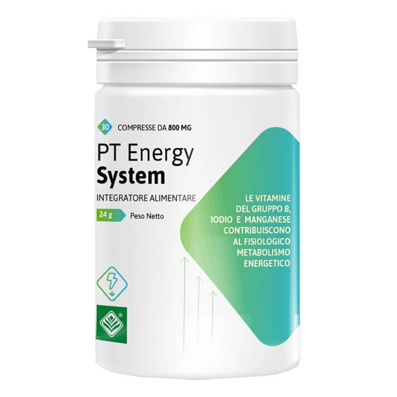 Pt energy system 30 compresse