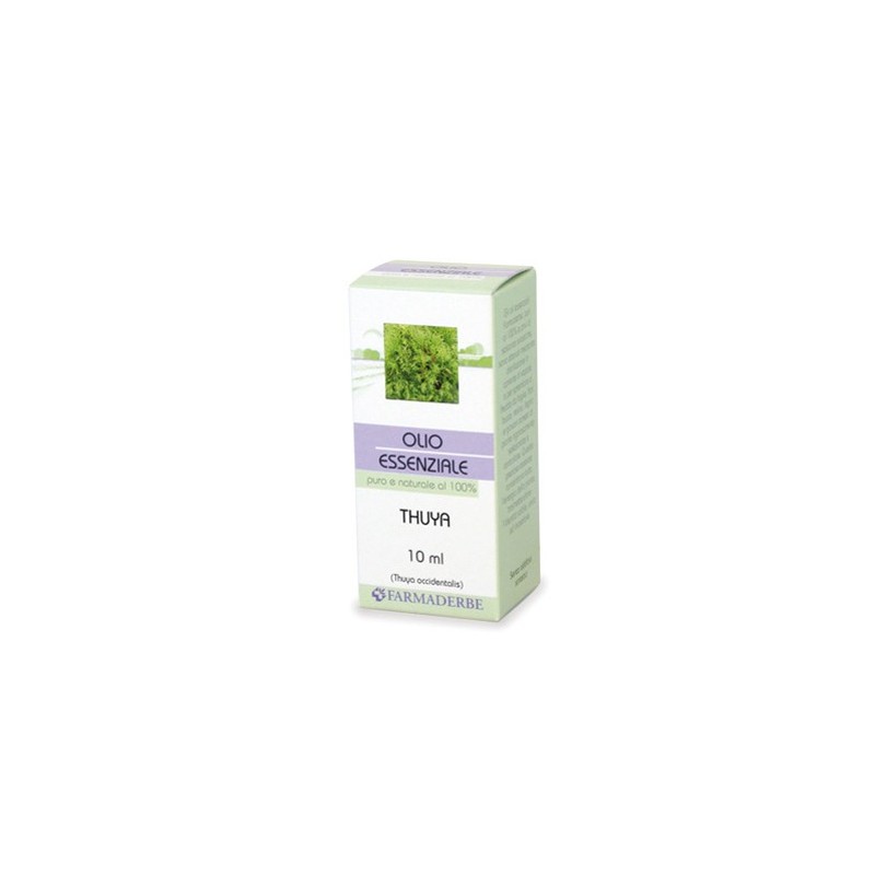 Thuya olio essenziale 10 ml Thuya olio essenziale 10 ml
