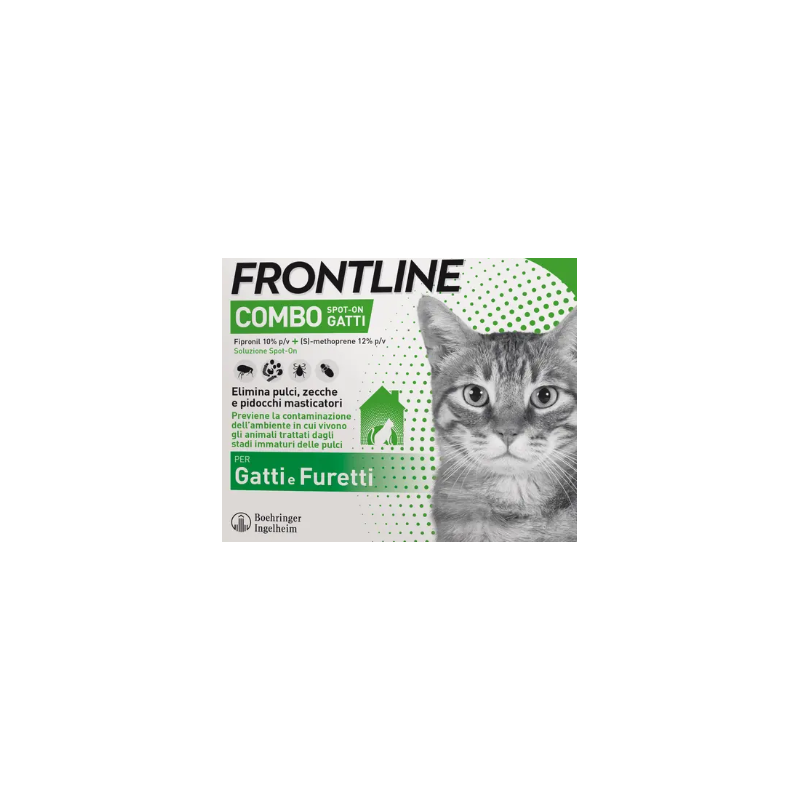 Frontline combo spot-on gatti