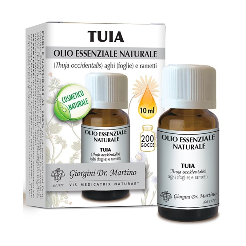Tuia olio essenziale naturale 10 ml Tuia olio essenziale naturale 10 ml
