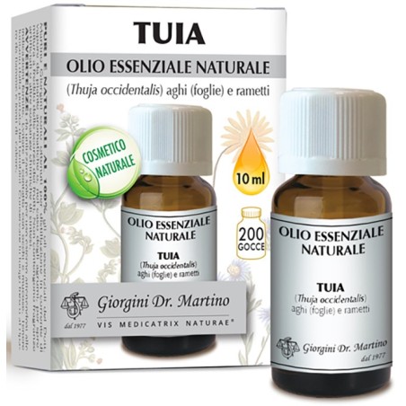 Tuia olio essenziale naturale 10 ml Tuia olio essenziale naturale 10 ml