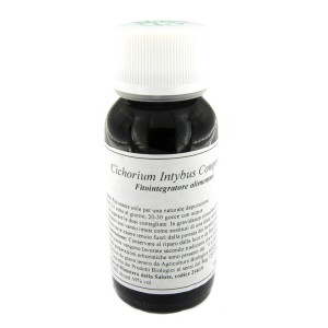 Lvs 05n cichorium intybus comp