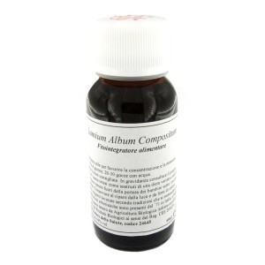 Lvs 31s lamium album compositum