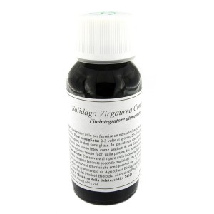 Lvs 07n solidago virgaurea compositum