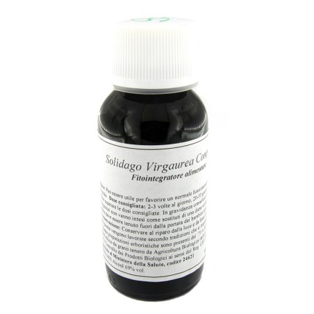 Lvs 07n solidago virgaurea compositum Lvs 07n solidago virgaurea compositum