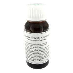 Lvs 41n equisetum arvense compositum