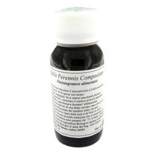 Lvs 40n bellis perennis compositum