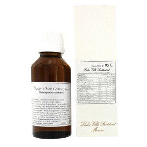 Lvs 95c viscum album compositum