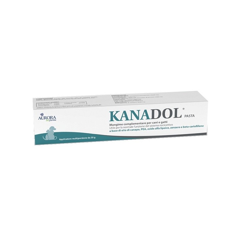 Kanadol pasta 30 g Kanadol pasta 30 g
