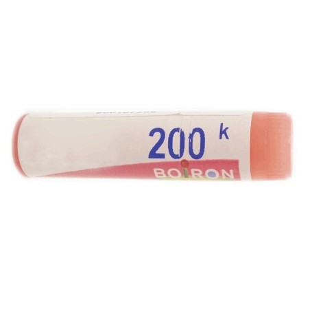 Thuya occident 200k gl