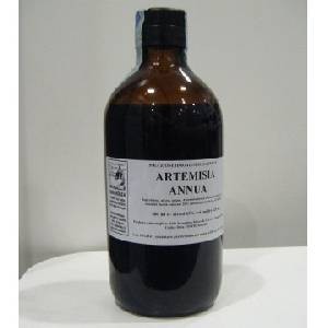 Artemisia annua 500ml tm