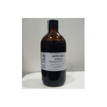 Artemisia annua 500ml tm