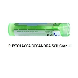 Phytolacca decandra 5ch 80gr Phytolacca decandra 5ch 80gr