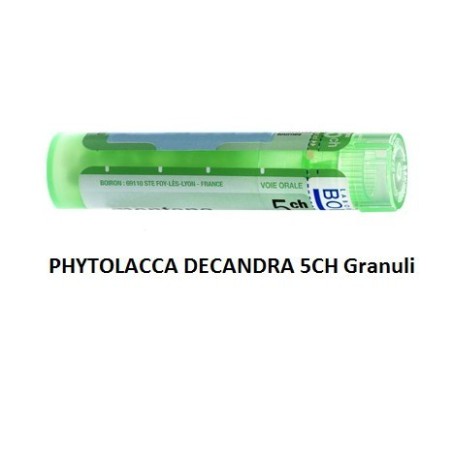 Phytolacca decandra 5ch 80gr Phytolacca decandra 5ch 80gr