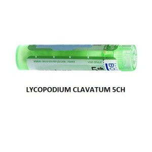Lycopodium clavatum 5ch 80gr Lycopodium clavatum 5ch 80gr