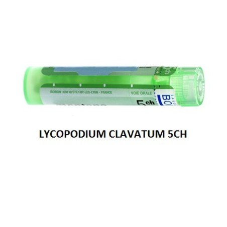 Lycopodium clavatum 5ch 80gr