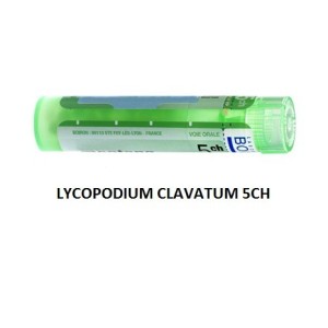 Lycopodium clavatum 5ch 80gr Lycopodium clavatum 5ch 80gr