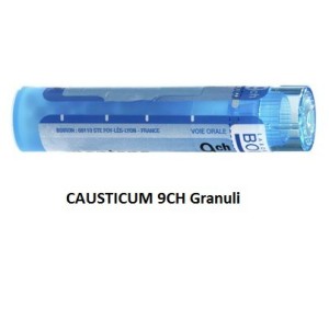 Causticum 9ch 80gr 4g Causticum 9ch 80gr 4g