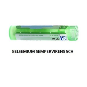 Gelsemium semp 5ch gr 4g Gelsemium semp 5ch gr 4g