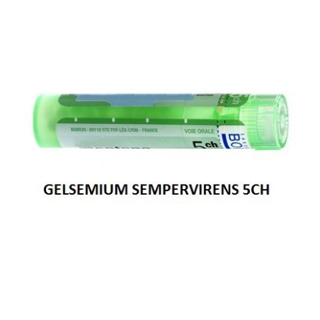 Gelsemium semp 5ch gr 4g