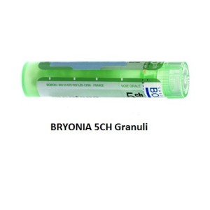 Bryonia 5ch 80gr 4g Bryonia 5ch 80gr 4g