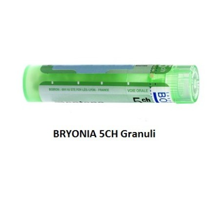 Bryonia 5ch 80gr 4g Bryonia 5ch 80gr 4g