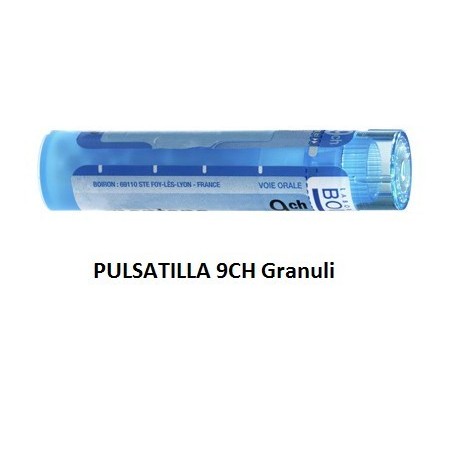 Pulsatilla 9ch 80gr 4g