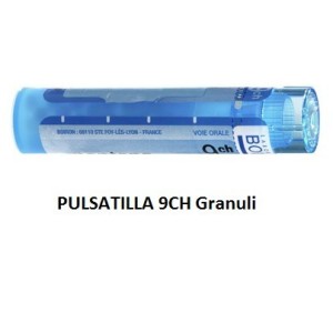 Pulsatilla 9ch 80gr 4g Pulsatilla 9ch 80gr 4g