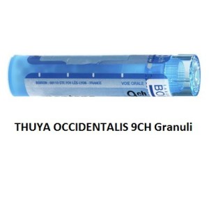 Thuya occident 9ch gr Thuya occident 9ch gr