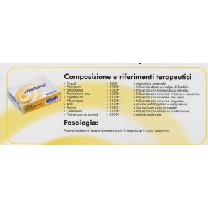Homeoflu 30 capsule 450mg Homeoflu 30 capsule 450mg