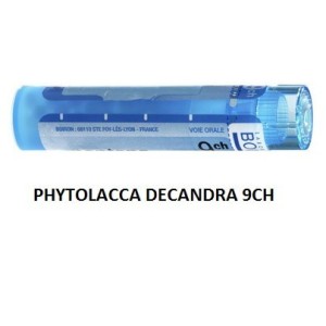 Phytolacca decandra 9ch 80gr Phytolacca decandra 9ch 80gr