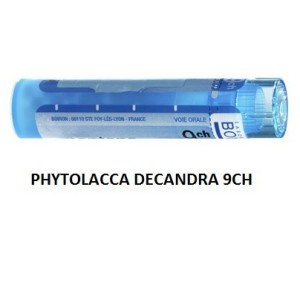 Phytolacca decandra 9ch 80gr Phytolacca decandra 9ch 80gr