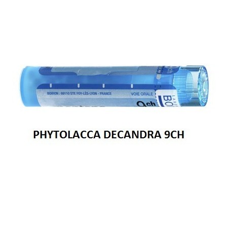 Phytolacca decandra 9ch 80gr Phytolacca decandra 9ch 80gr