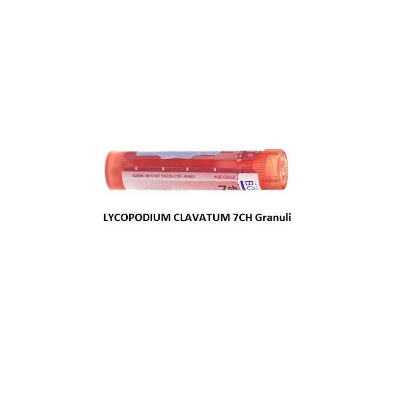Lycopodium clavatum 7ch 80gr Lycopodium clavatum 7ch 80gr