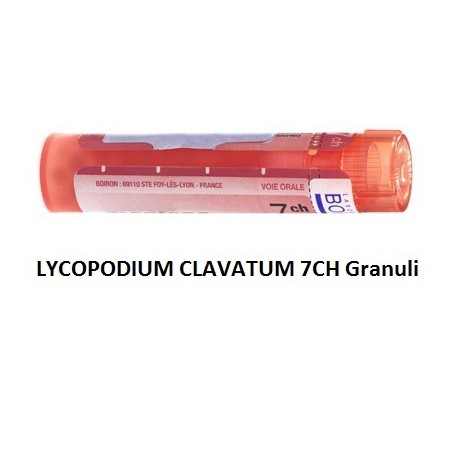 Lycopodium clavatum 7ch 80gr Lycopodium clavatum 7ch 80gr