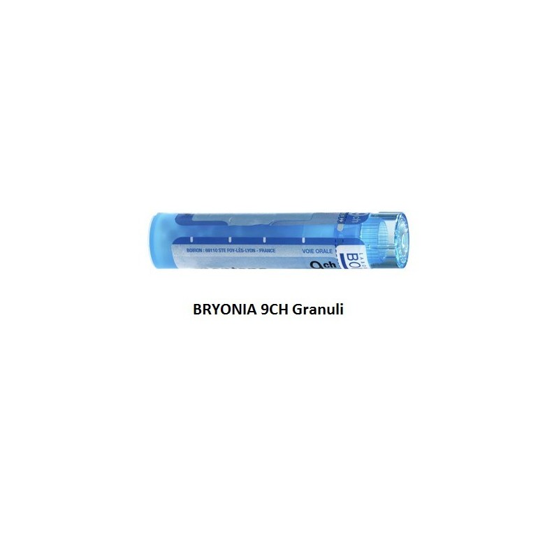 Bryonia 9ch 80gr 4g Bryonia 9ch 80gr 4g