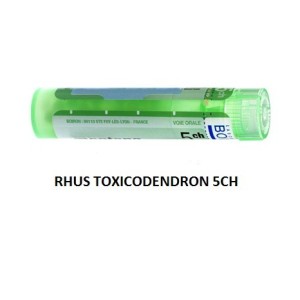 Rhus toxicodendron 5ch 80gr 4g Rhus toxicodendron 5ch 80gr 4g