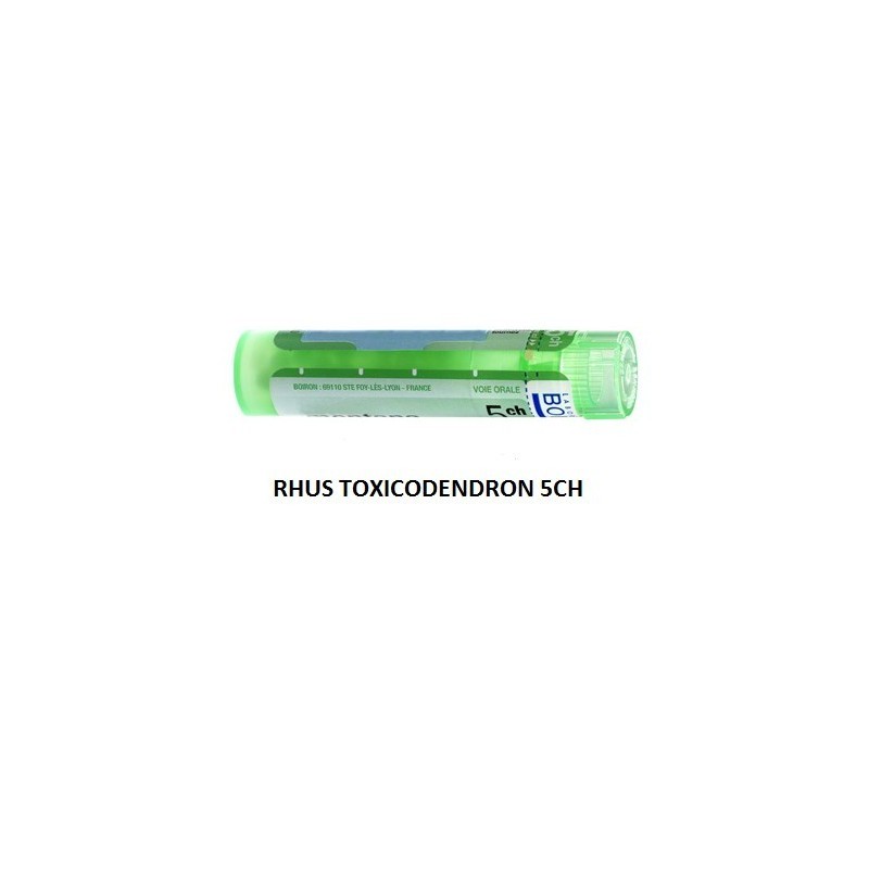 Rhus toxicodendron 5ch 80gr 4g Rhus toxicodendron 5ch 80gr 4g